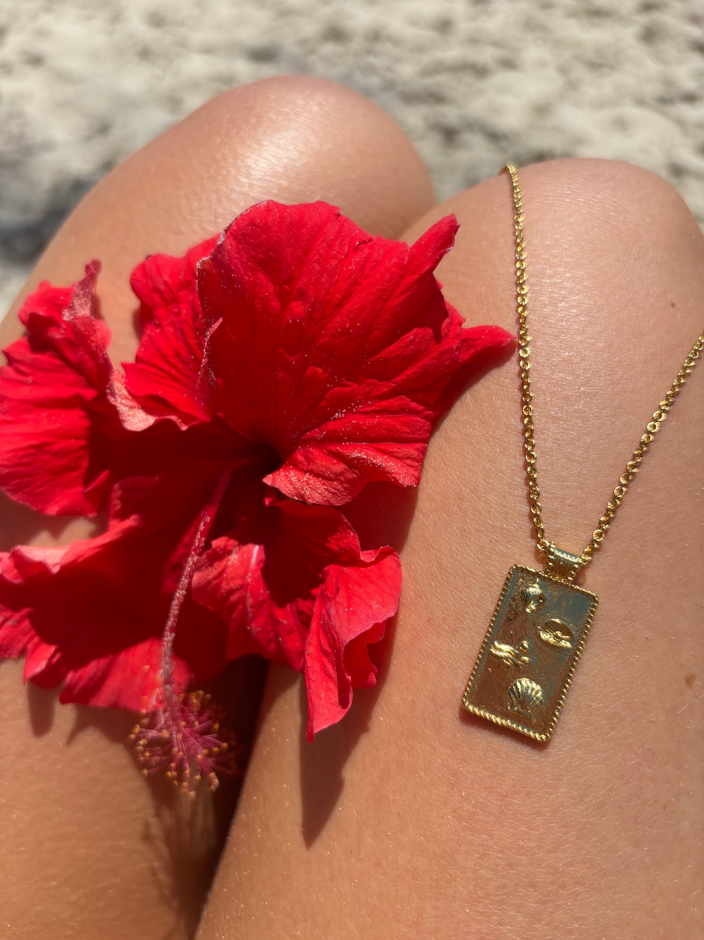 Serene Scenes The Label 18K gold-filled Under The Sea Necklace. Gold chain with rectangular pendant featuring shell designs. Laid on a lap next to red flowers on the beach