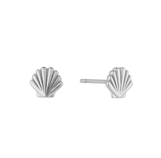 Sea Shell Studs - 925 Sterling Silver