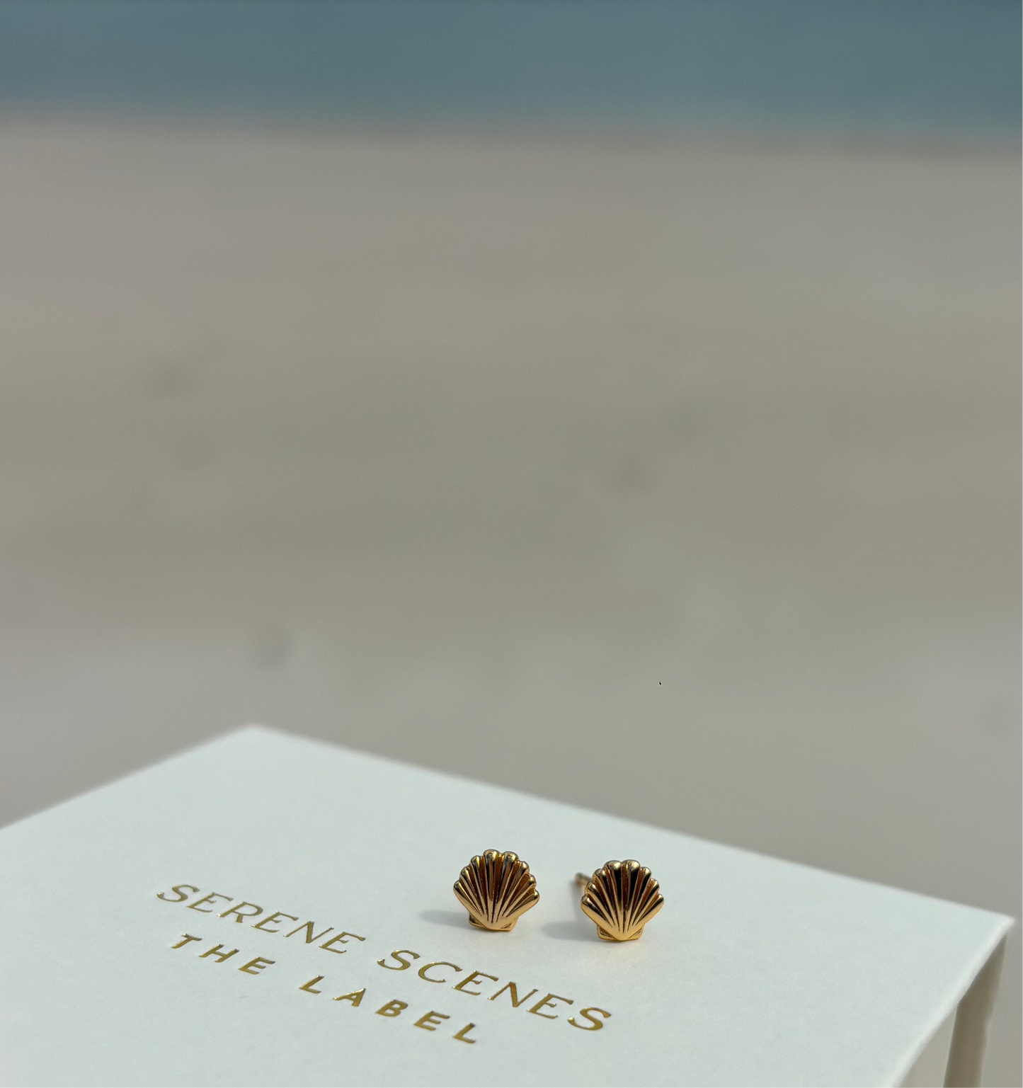 Sea Shell Studs - Gold Vermeil
