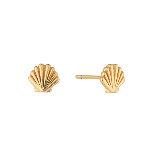 Sea Shell Studs - Gold Vermeil