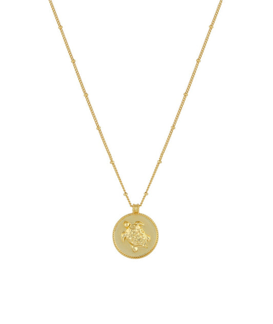 Serene Scenes The Label 18K gold-filled Serenity Necklace. Gold chain with circular pendant featuring turtle design.